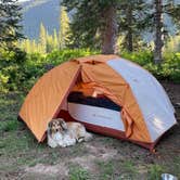 Review photo of Washington Gulch Dispersed Camping by Brooke G., July 9, 2023