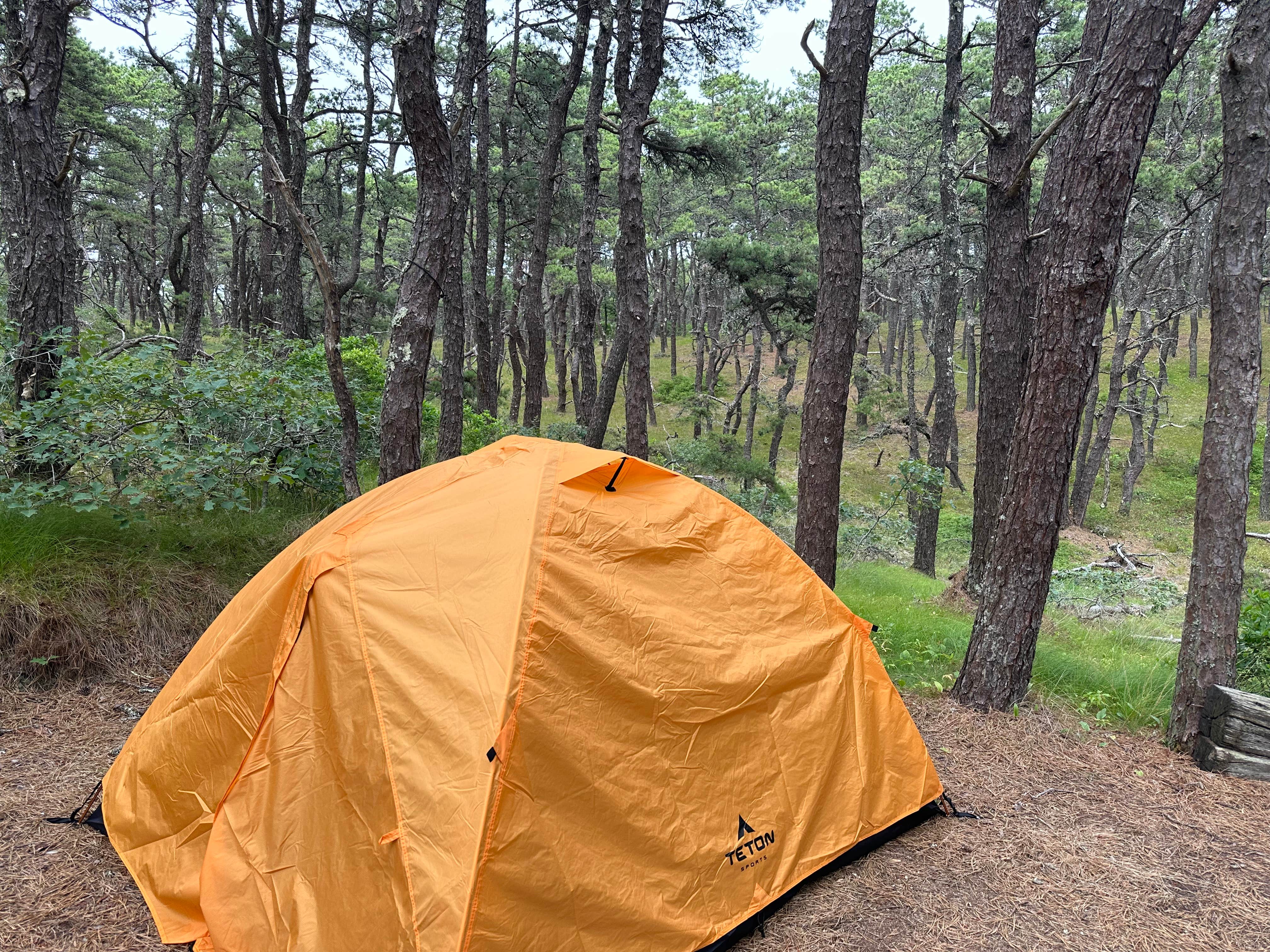 Camper-submitted photo at North of Highland Camping Area near Orleans, MA