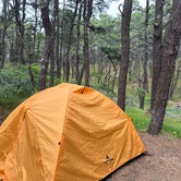 Review photo of North of Highland Camping Area by Darcy D., July 9, 2023