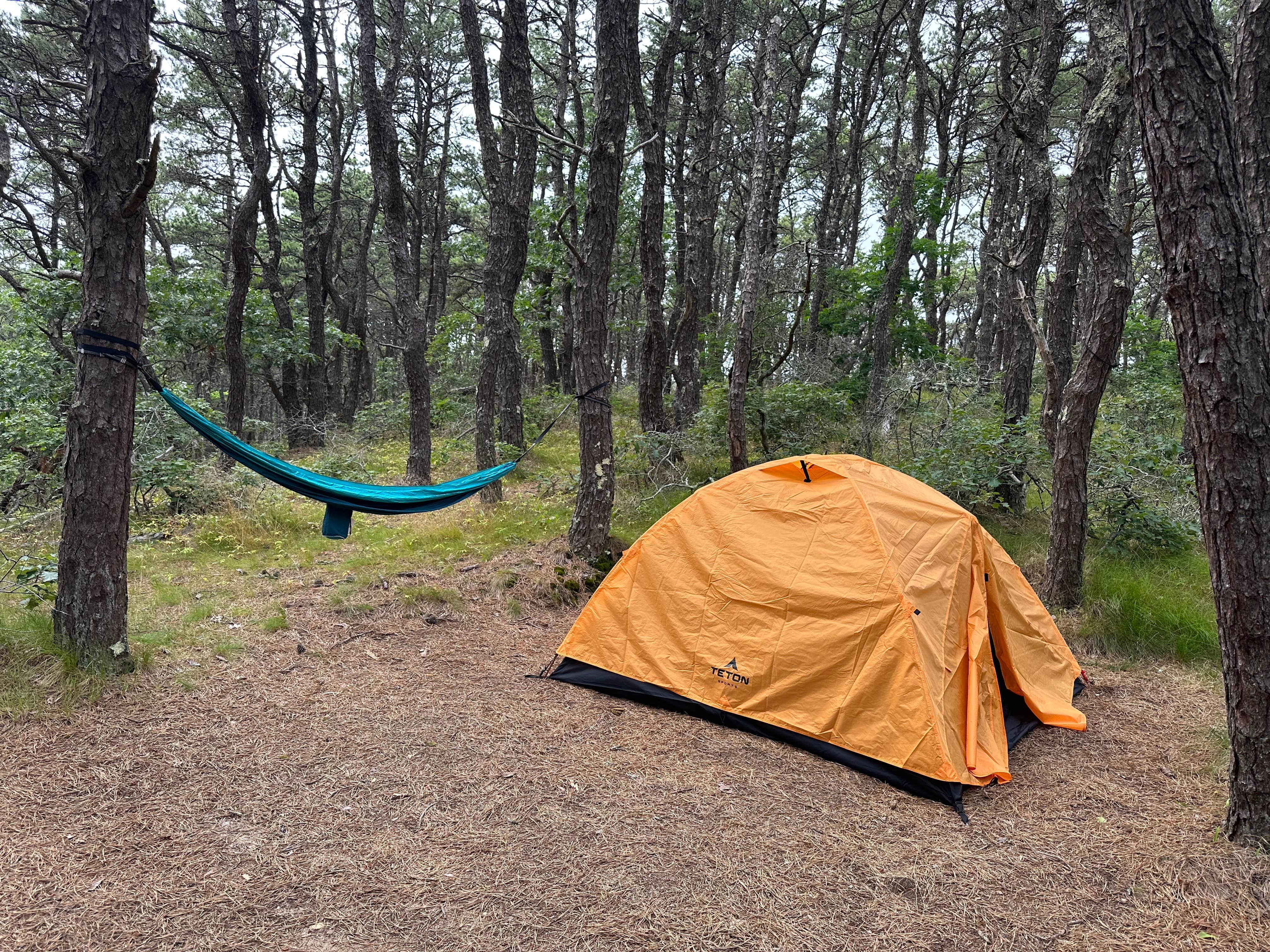 Camper-submitted photo at North of Highland Camping Area near Orleans, MA