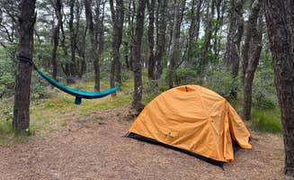 Darcy D.'s photo at North of Highland Camping Area near Provincetown, MA