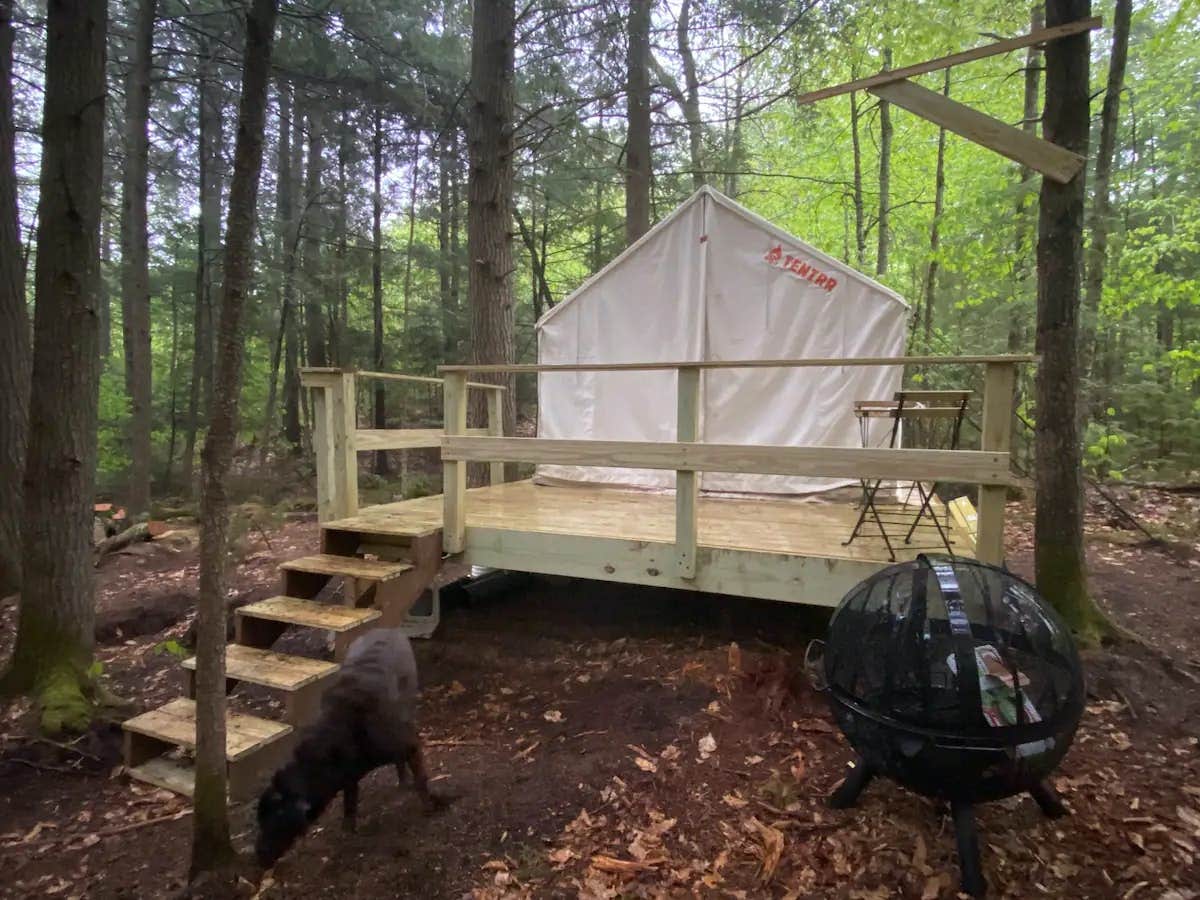 The Dyrt's photo at Tentrr Signature Site - Maine Vibes Farm near Aurora, ME