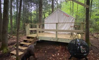The Dyrt's photo at Tentrr Signature Site - Maine Vibes Farm near Levant, ME