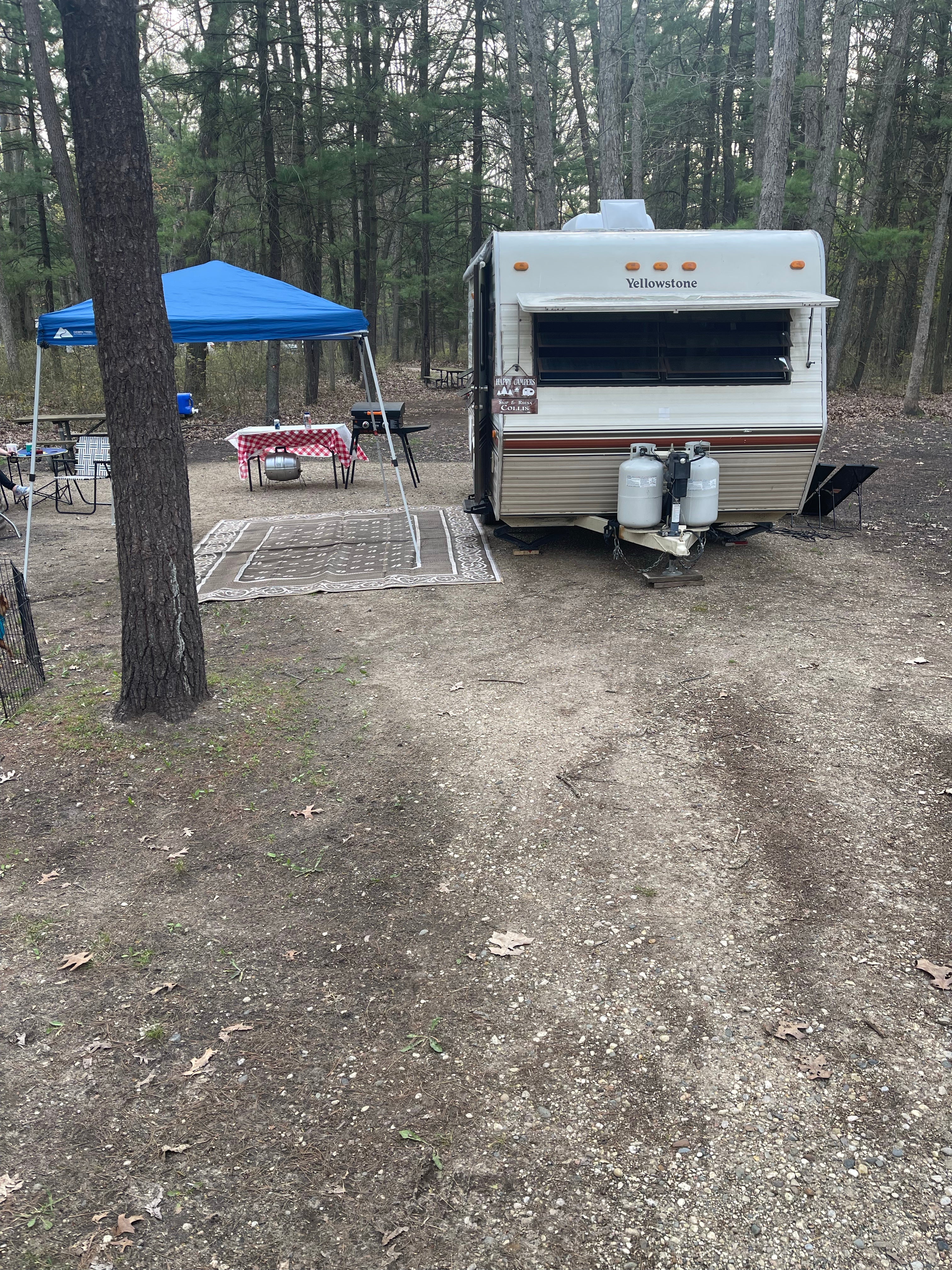 Camper submitted image from Ely Lake Campground - 1