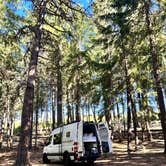 Review photo of South Shore Suttle Lake by Monica C., July 9, 2023