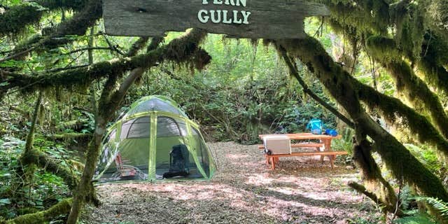 Camper submitted image from Cedar Groves Rural Campground