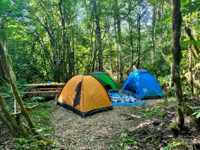 Camper-submitted photo at Cedar Groves Rural Campground near Bow, WA