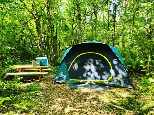 Camper-submitted photo at Cedar Groves Rural Campground near Bow, WA