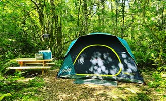 EMILY K.'s photo at Cedar Groves Rural Campground near Bow, WA