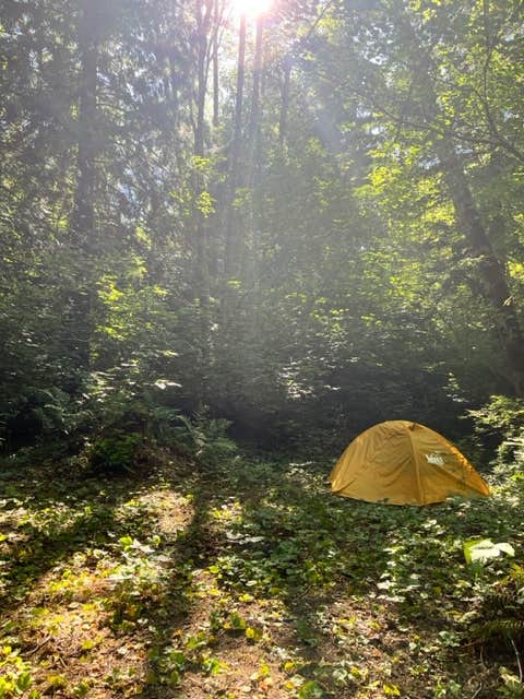 Camper-submitted photo at Cedar Groves Rural Campground near Bow, WA