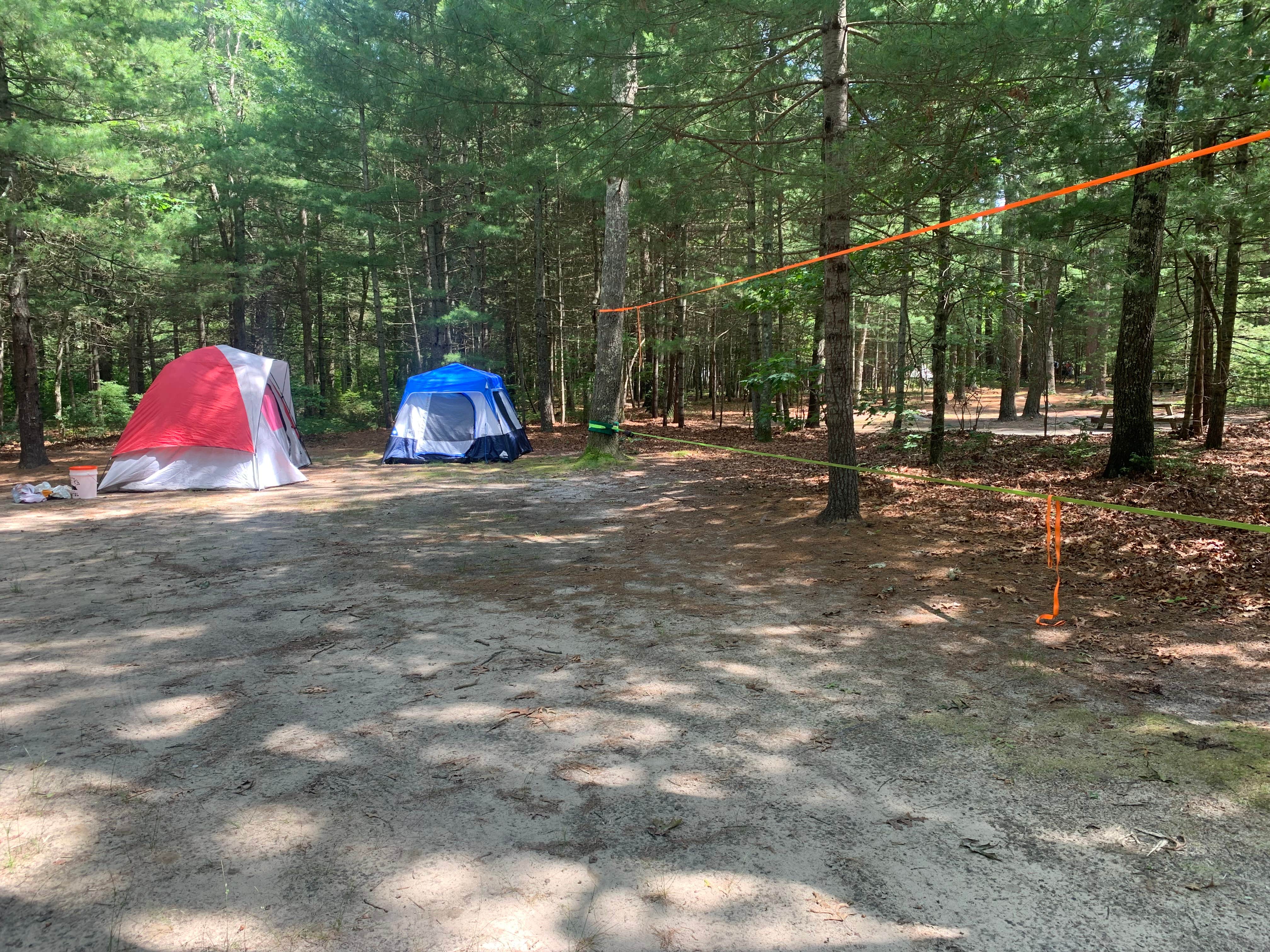Amy S.'s photo at Burlingame State Park Campground in Rhode Island
