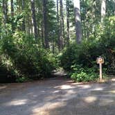 Review photo of Scenic Beach State Park Campground by Katie S., August 22, 2016