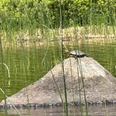 Review photo of Toohey Lake Rustic Campground by Christopher W., July 9, 2023