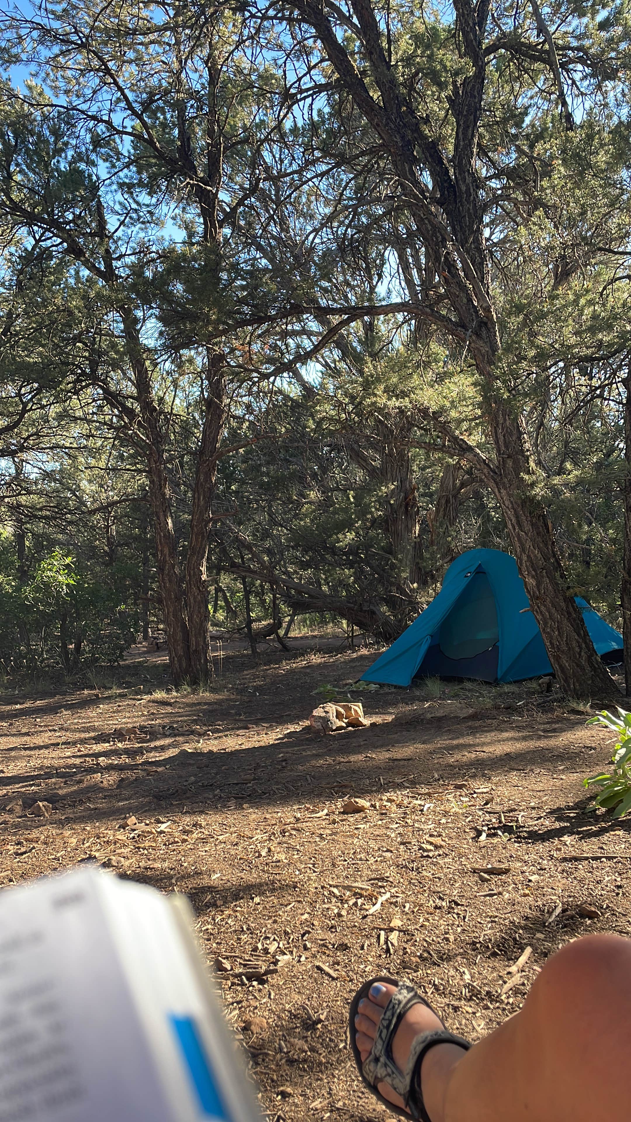 Coen W.'s photo of a dispersed camping area at Black Canyon Dispersed Camping near Curecanti National Recreation Area