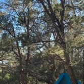 Review photo of Black Canyon Dispersed Camping by Coen W., July 9, 2023