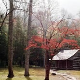 Review photo of Cades Cove Campground by Joel R., October 23, 2018