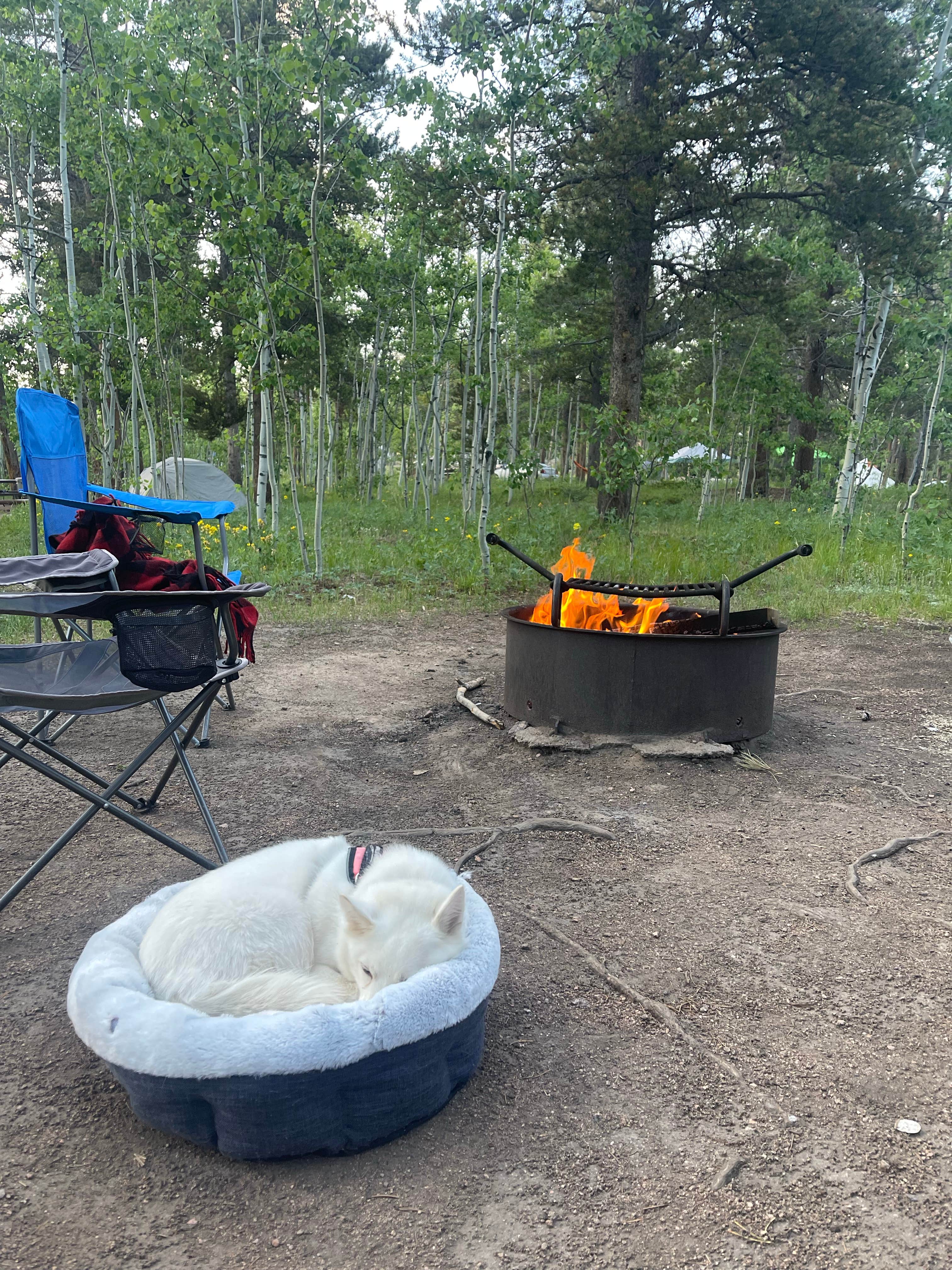 Nick S.'s photo at Kenosha Pass Campground near Jefferson, CO
