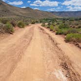 Review photo of Kolob Road BLM Dispersed by Megan G., July 10, 2023