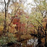 Review photo of Cades Cove Campground by Joel R., October 23, 2018