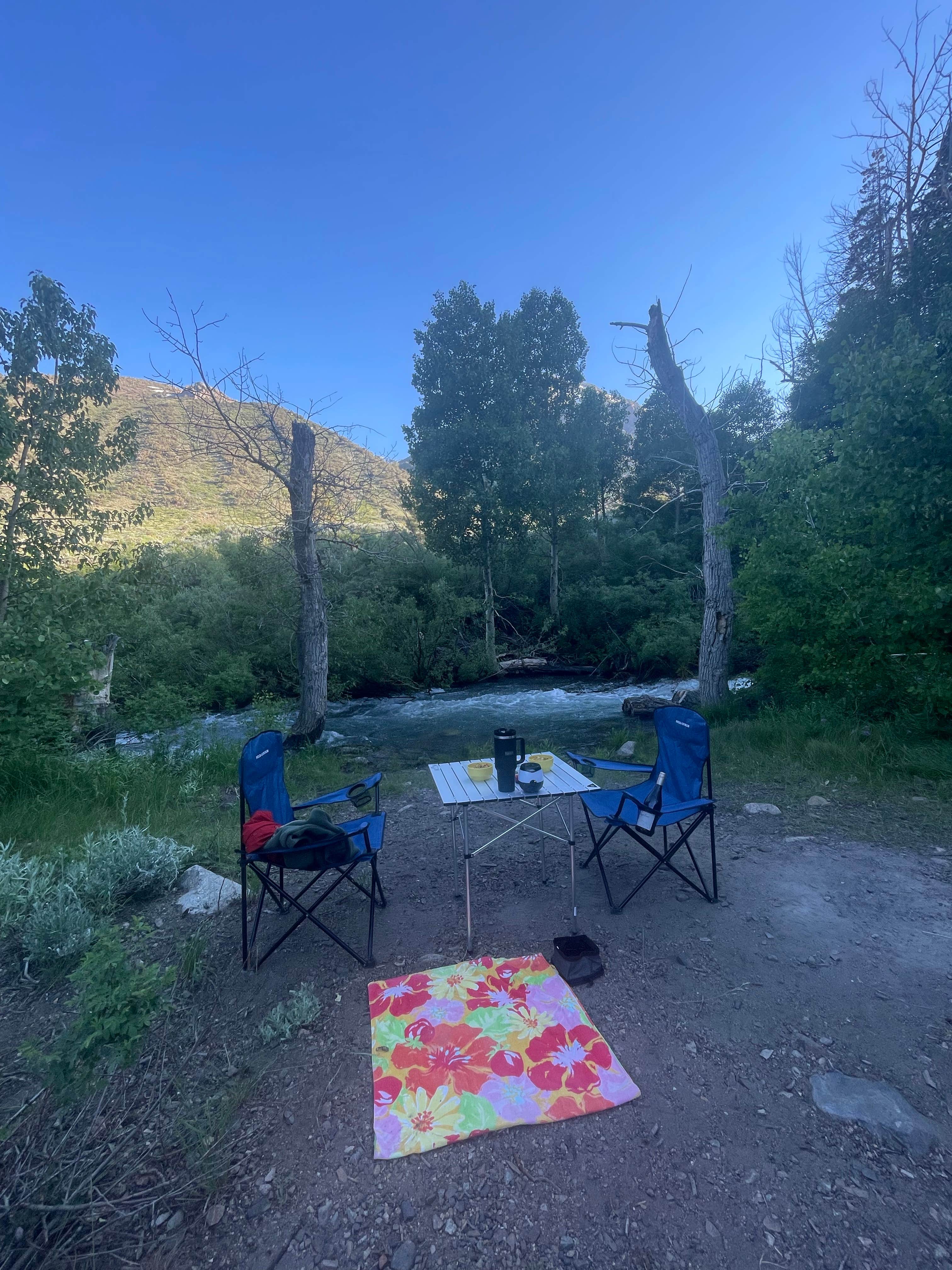 Amelia W.'s photo at Lundy Canyon Campground near Lee Vining, CA