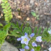 Review photo of Woodland Campground by Rachel H., July 10, 2023