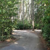 Review photo of Scenic Beach State Park Campground by Katie S., August 22, 2016