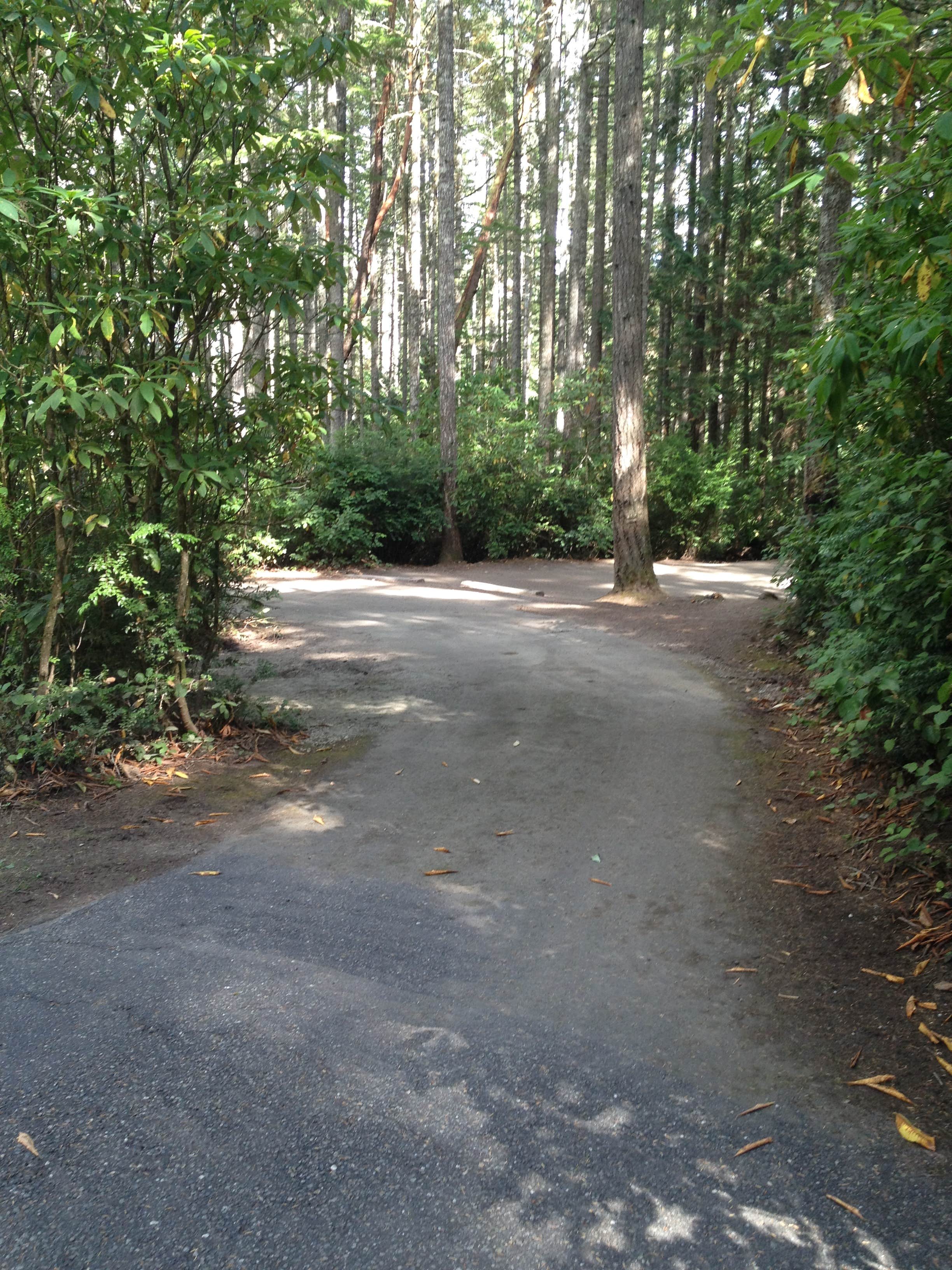 Camper submitted image from Scenic Beach State Park Campground - 2