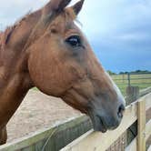 Review photo of Liberty Stables by rachel , July 9, 2023