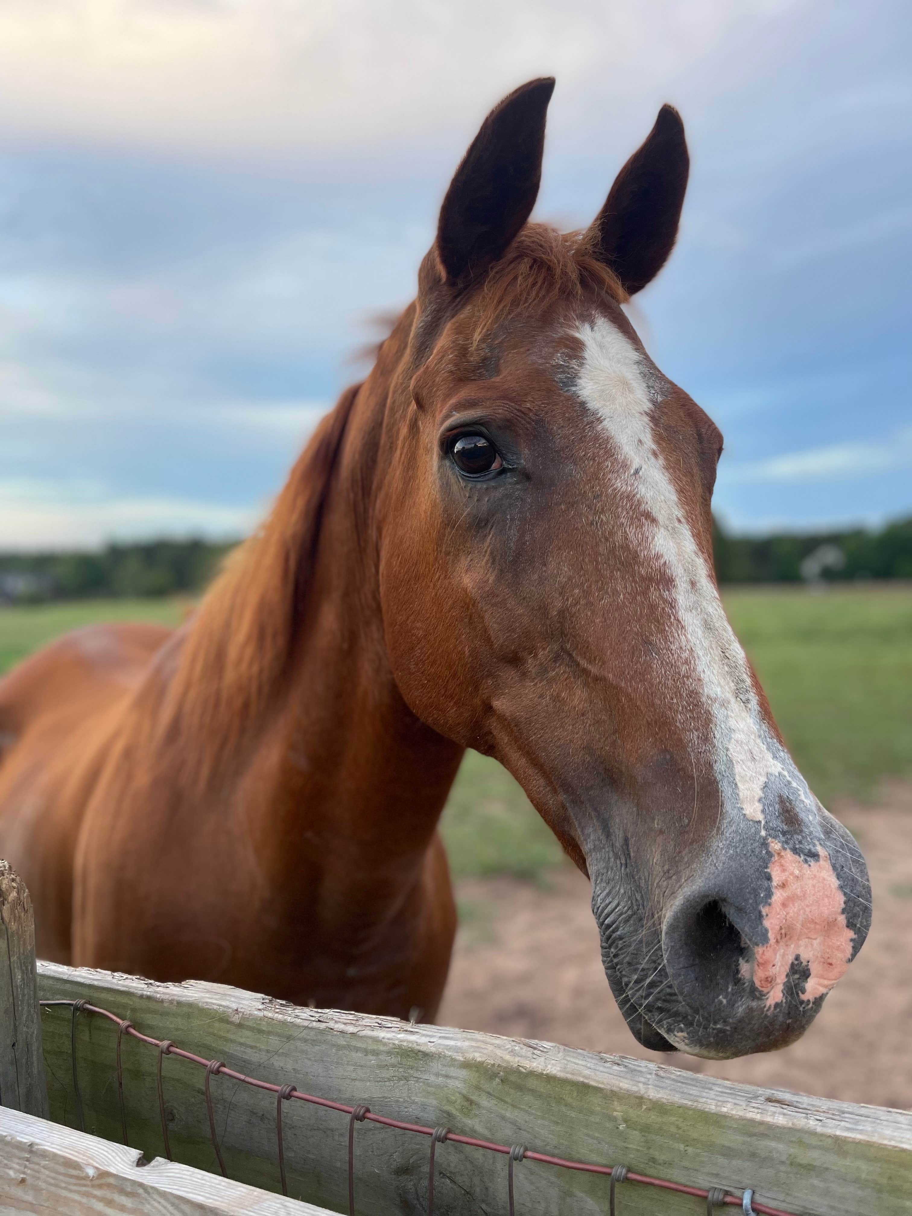 Liberty Stables Camping | Social Circle, GA