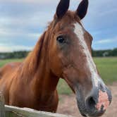 Review photo of Liberty Stables by rachel , July 9, 2023