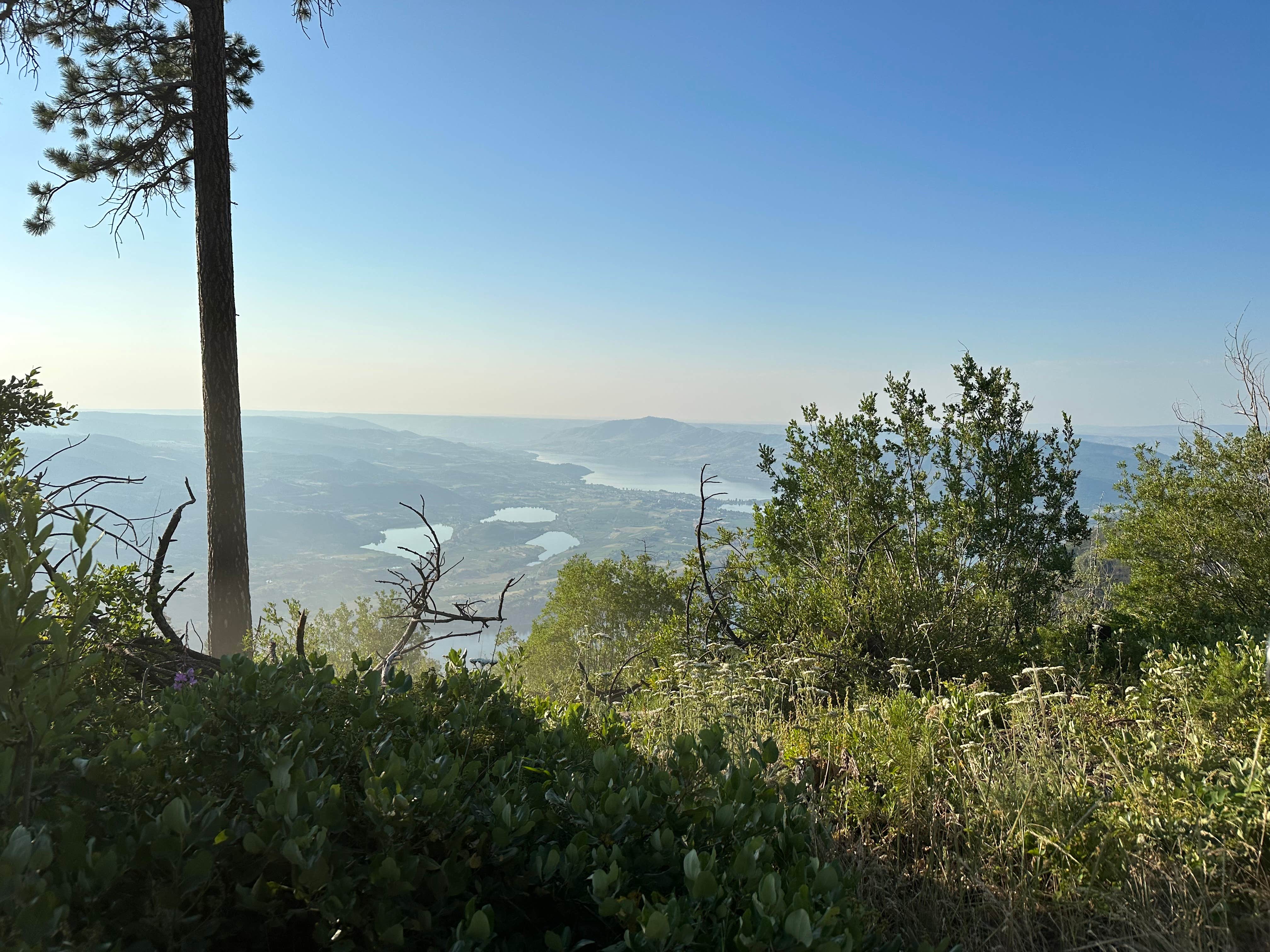 Camper submitted image from Chelan Lookout - NF 8410 Dispersed - 2