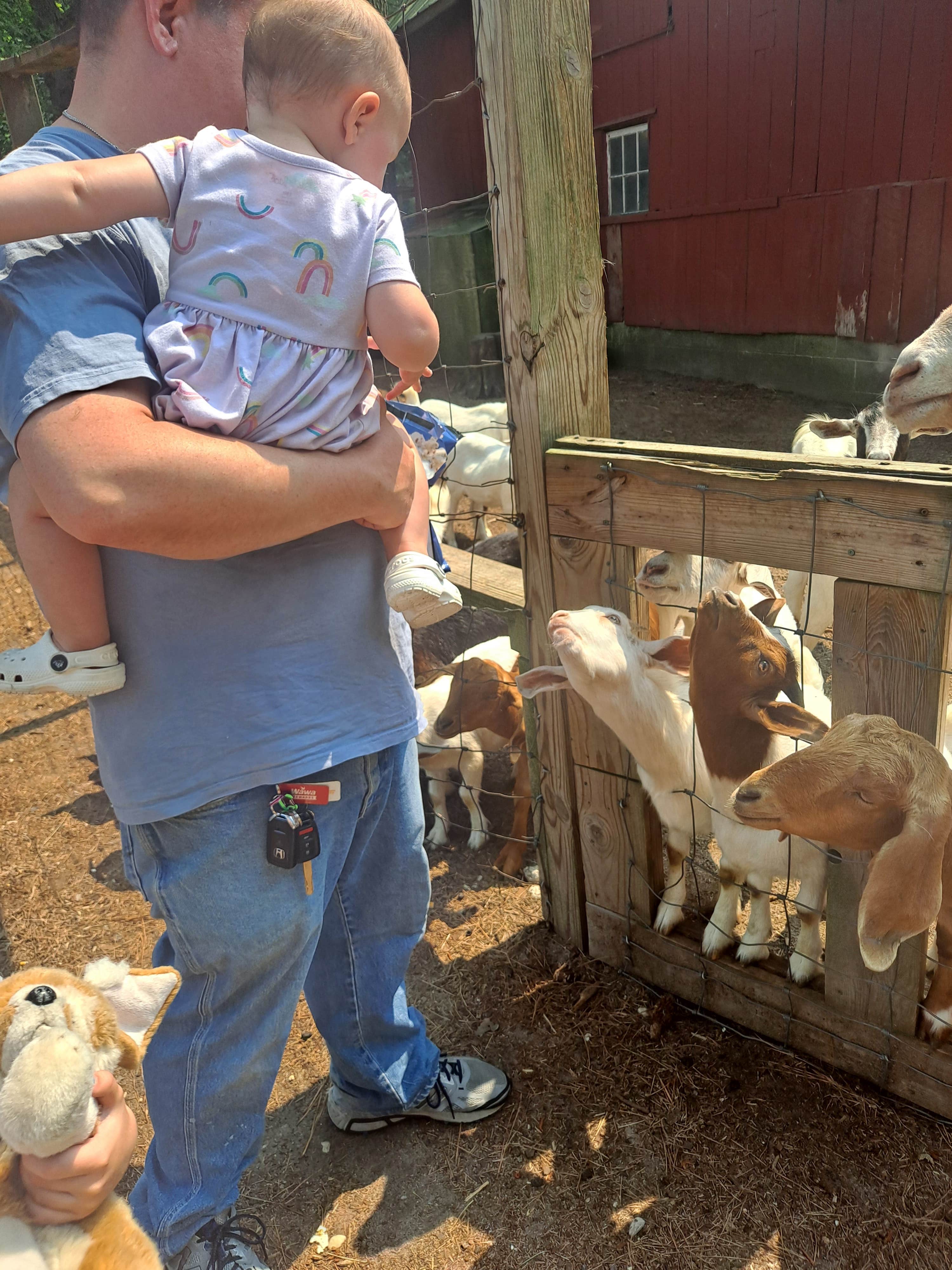 Camper-submitted photo at Holly Lake Campsites near Rehoboth Beach, DE