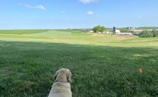 Stephanie S.'s photo of camping with pets at Rustic Barn Campground RV Park near Galena, IL