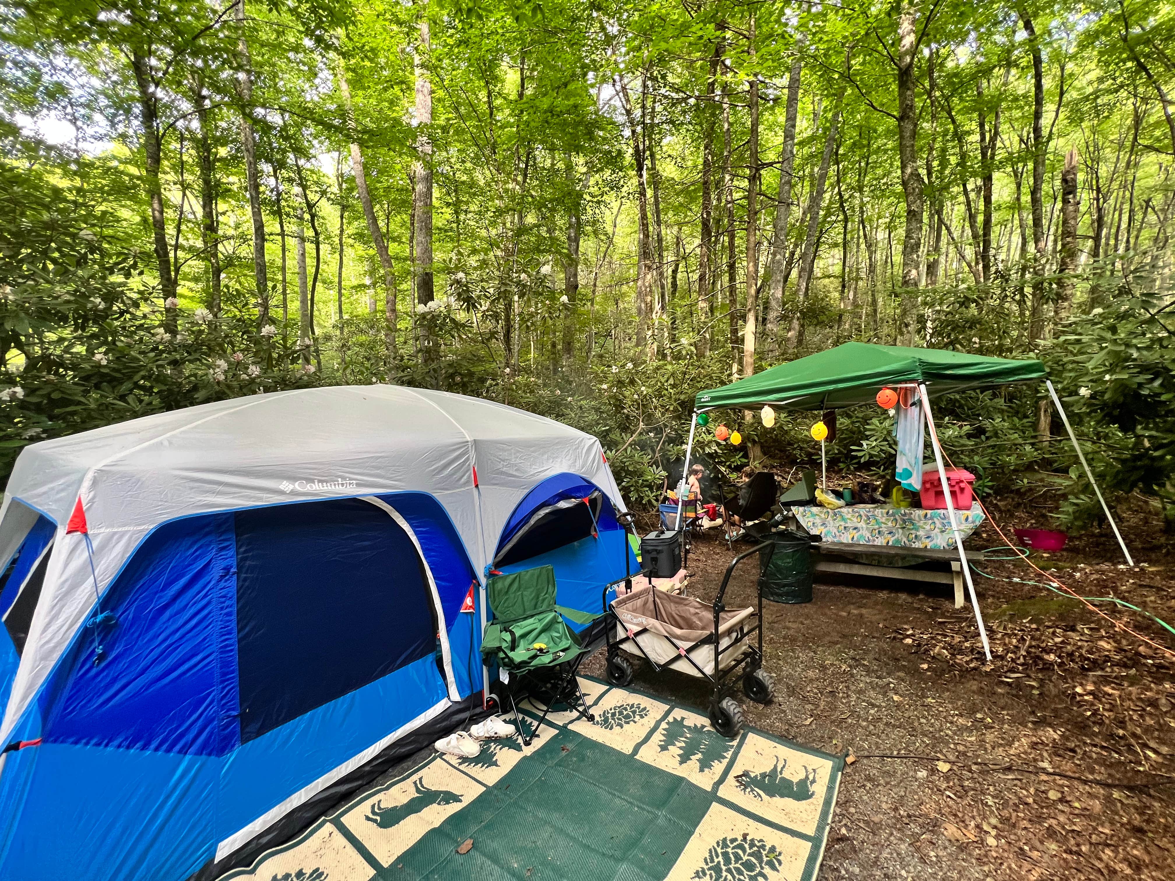 Camper-submitted photo at Honey Bear Campground near Vilas, NC