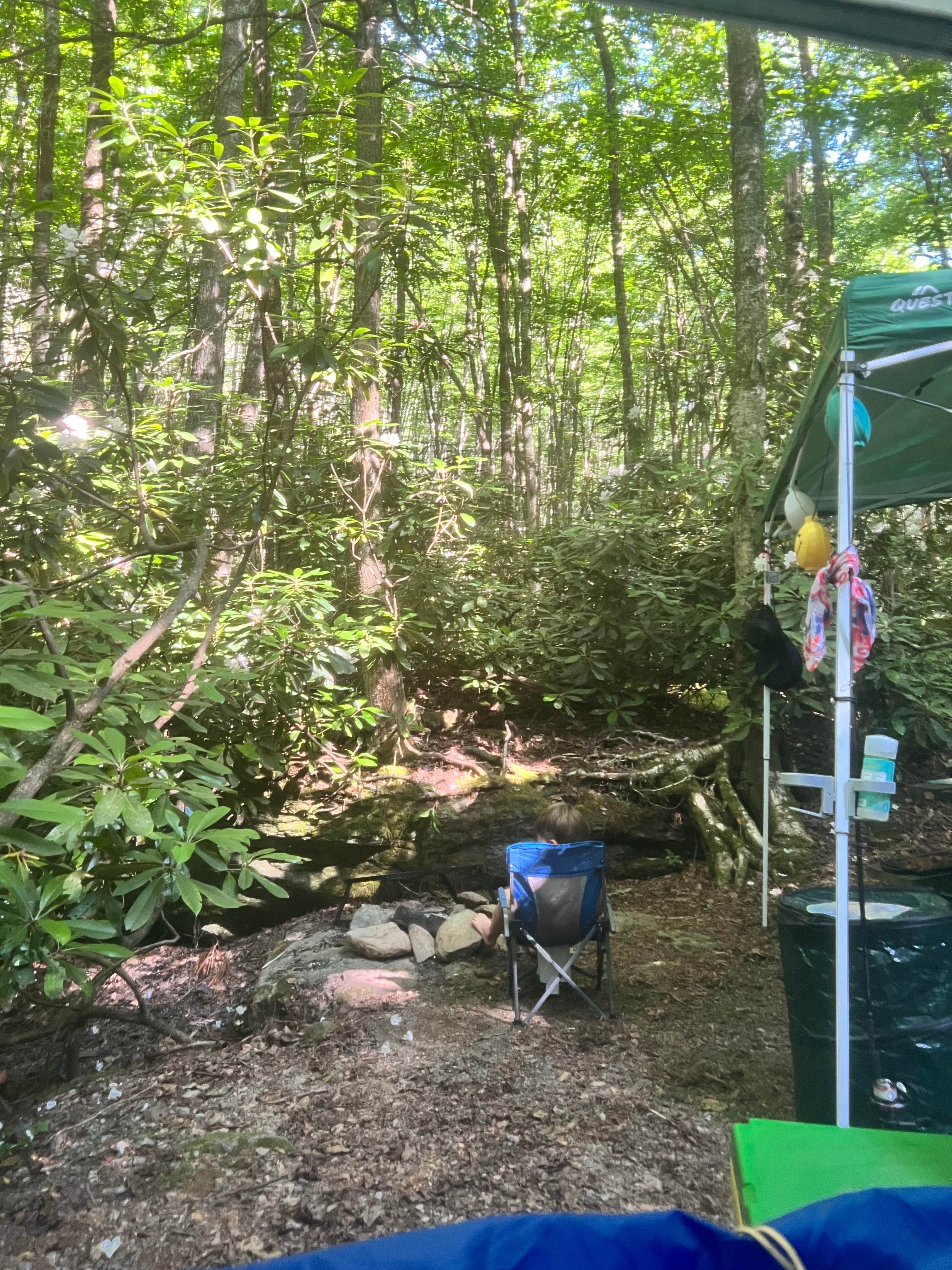 Camper-submitted photo at Honey Bear Campground near Vilas, NC