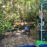 Review photo of Honey Bear Campground by Melissa G., July 10, 2023