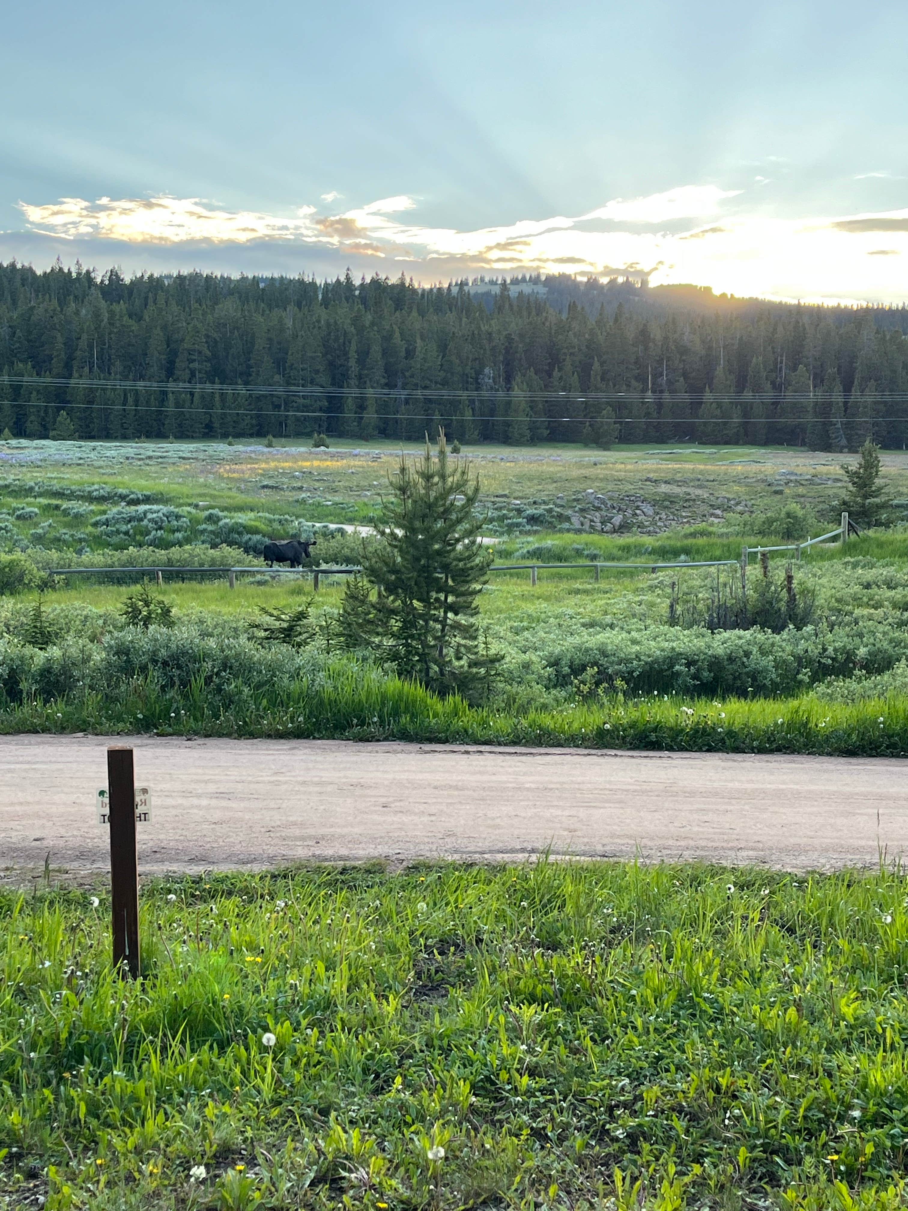 Camper-submitted photo at Owen Creek near Shell, WY