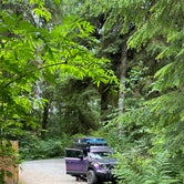 Review photo of Bogachiel State Park Campground by Dan B., July 10, 2023