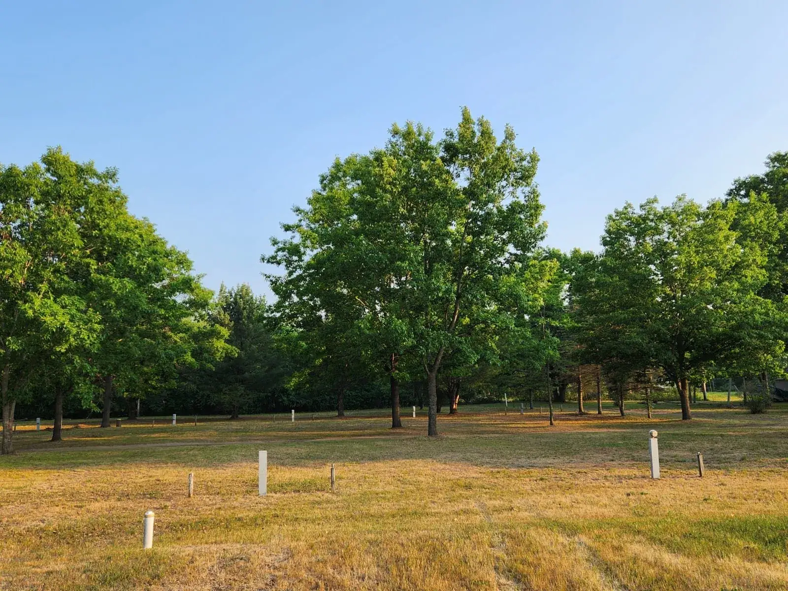 Camper-submitted photo at Secord Lake Campground near Sanford, MI