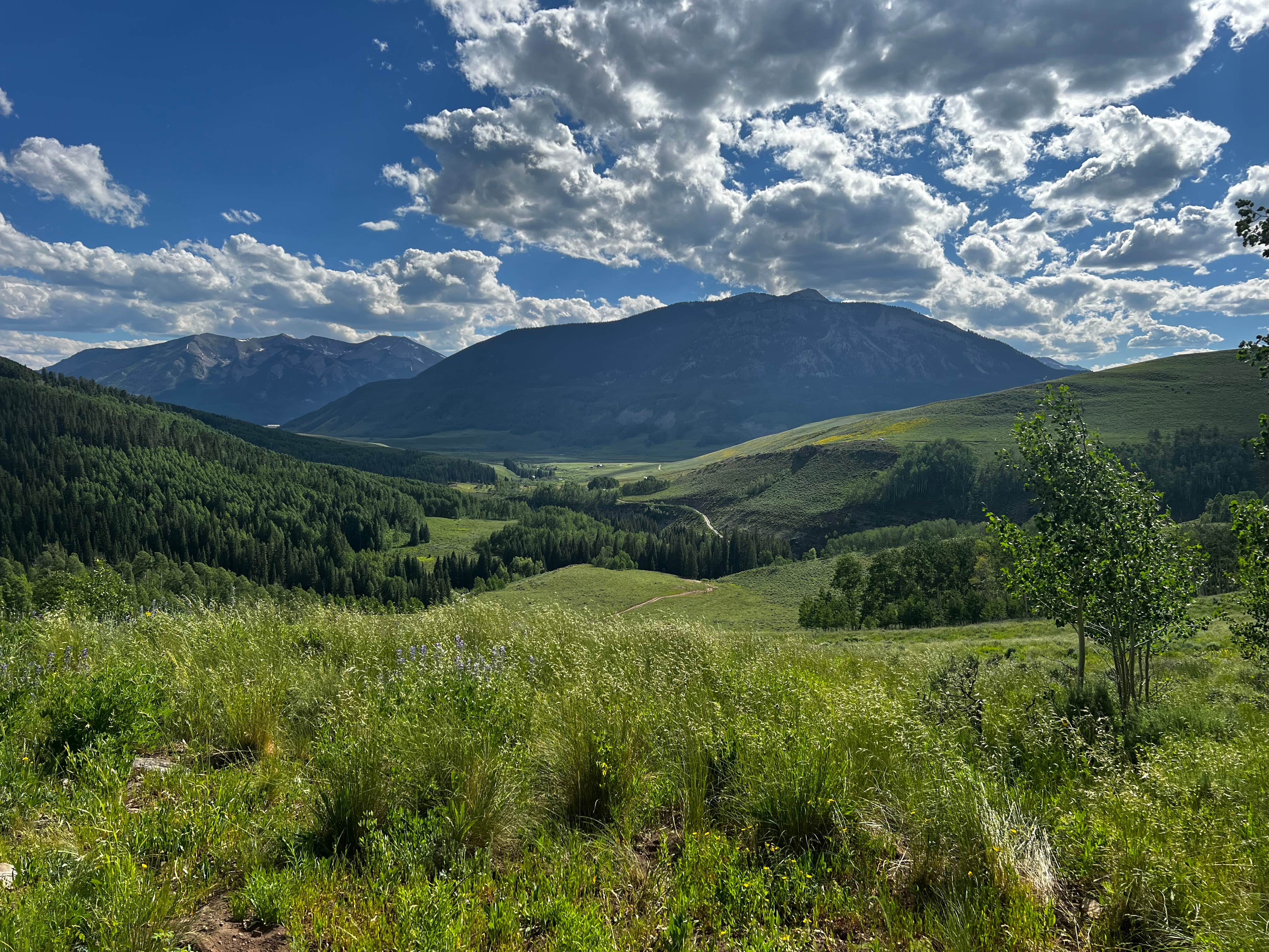 Camper-submitted photo at Pearl Pass Dispersed Camping near Crested Butte, CO