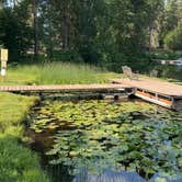 Review photo of Blue Lake RV Resort by Anil C., July 11, 2023