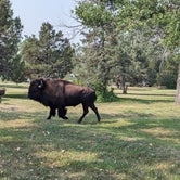 Review photo of Juniper Campground — Theodore Roosevelt National Park by Kristi D., July 11, 2023