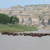 Review photo of Juniper Campground — Theodore Roosevelt National Park by Kristi D., July 11, 2023