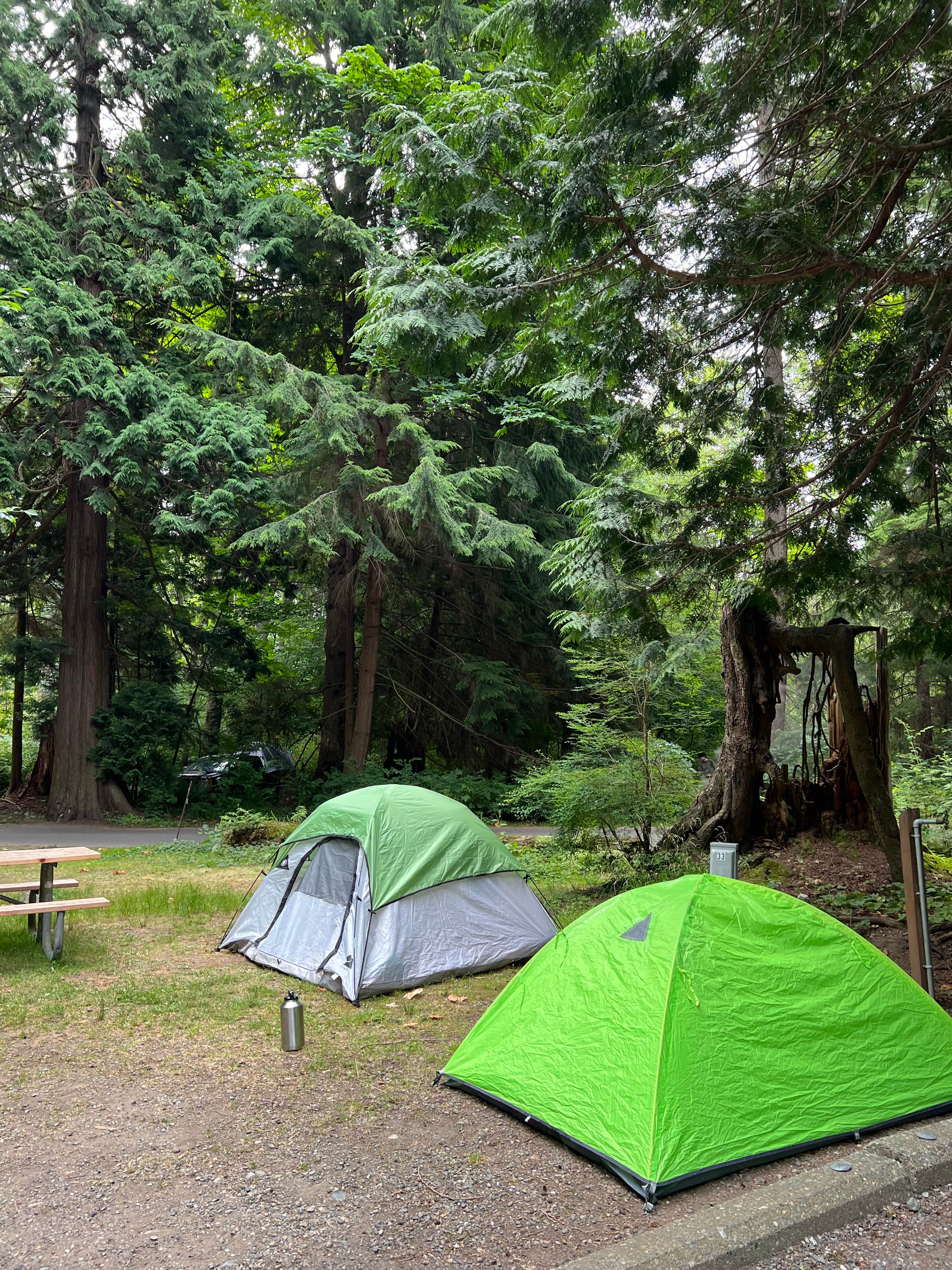 Arden C.'s photo at Birch Bay State Park Campground near Custer, WA