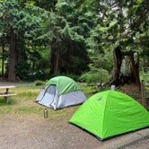Review photo of Birch Bay State Park Campground by Arden C., July 11, 2023