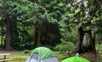 Arden C.'s photo at Birch Bay State Park Campground near Bellingham, WA