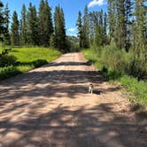 Review photo of Fall Creek Road - Dispersed by Tee C., July 11, 2023