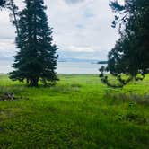 Review photo of Bridge Bay Campground — Yellowstone National Park by Ginna L., July 11, 2023