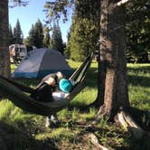 Review photo of Bridge Bay Campground — Yellowstone National Park by Ginna L., July 11, 2023