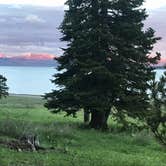 Review photo of Bridge Bay Campground — Yellowstone National Park by Ginna L., July 11, 2023